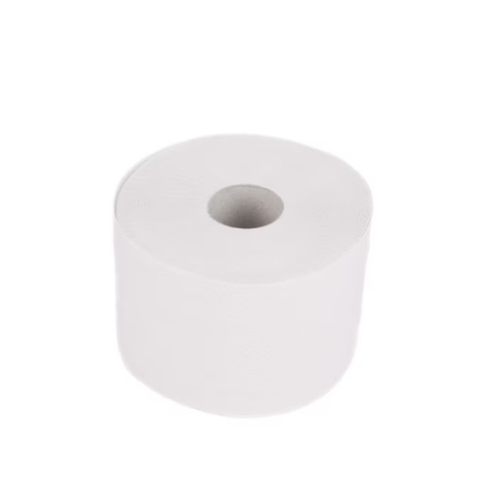 Papier toaletowy Jumbo Bigrolka biały ECO 100/2W 1 rolka
